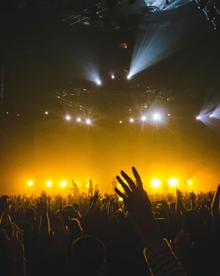 Pigs On The Wing Spokane