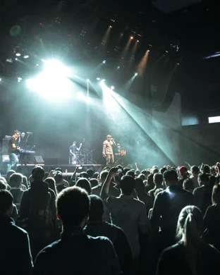 Bravo The Bagchaser Spokane