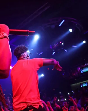 Live concert by The Elovaters