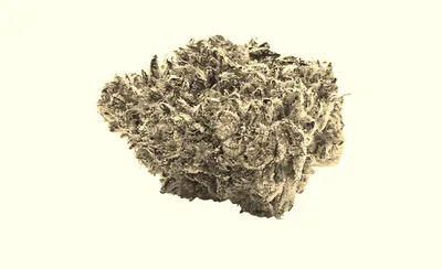 Abra Cadabra