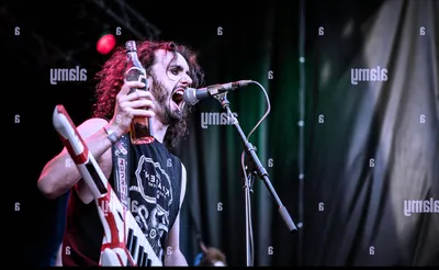 Alestorm