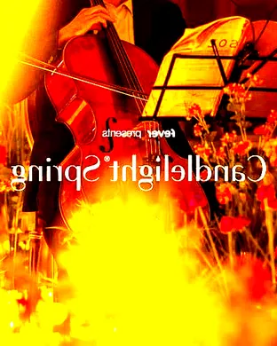 Candlelight: The Best of Hans Zimmer