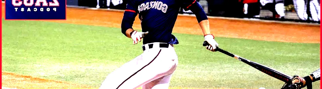 Gonzaga Bulldogs Baseball