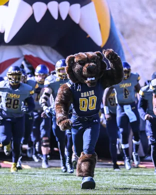 Northern Colorado Bears