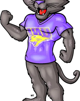 Northern Iowa Panthers