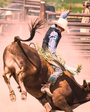 PRCA Rodeo