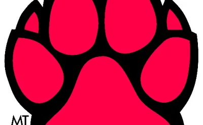 South Dakota Coyotes 