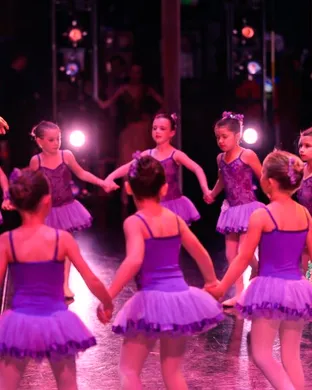 State Street Ballet