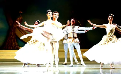 The Sleeping Beauty - Ballet