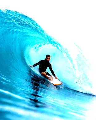 Twin Fin