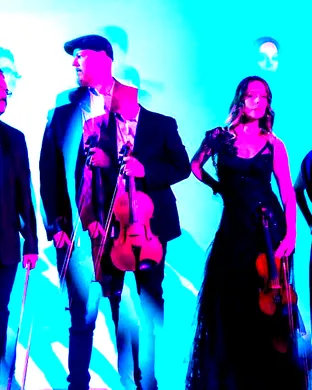 Vitamin String Quartet