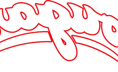 Washington State Cougars