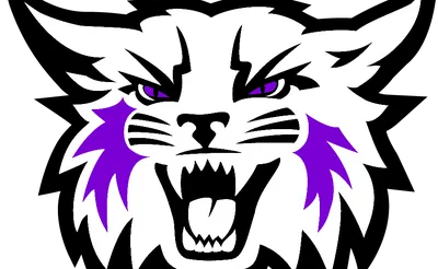 Weber State Wildcats