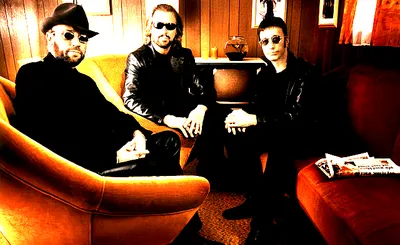 You Should Be Dancing - A Tribute to the Bee Gees