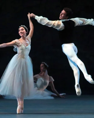 Swan Lake - Symphony of Lights